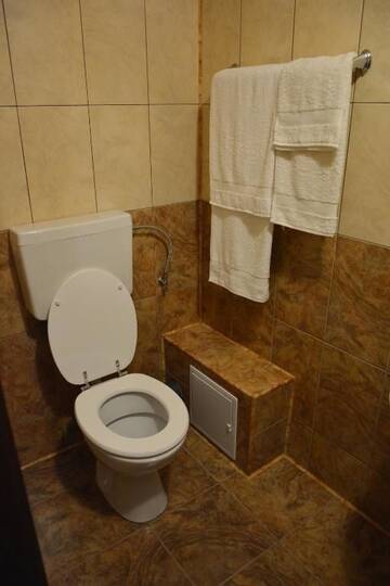 Фото номера Двухместный номер с 1 кроватью Гостевой дом Casa Leu г. Albeştii Pămînteni 14
