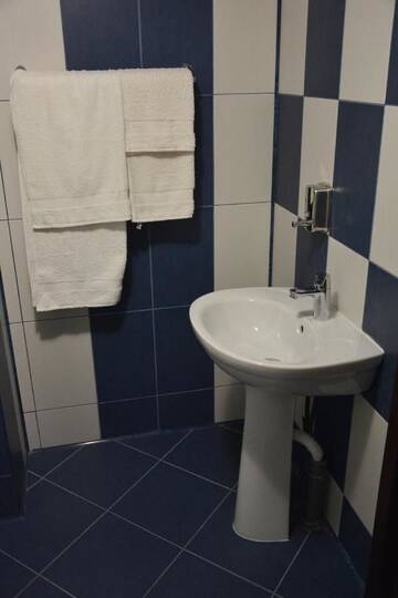 Фото номера Трехместный номер с балконом Гостевой дом Casa Leu г. Albeştii Pămînteni 6